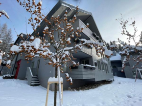 Spirit Harrachov Superior Wellness Apartments - FREE Wellness, Wifi, Parking, Harrachov Card